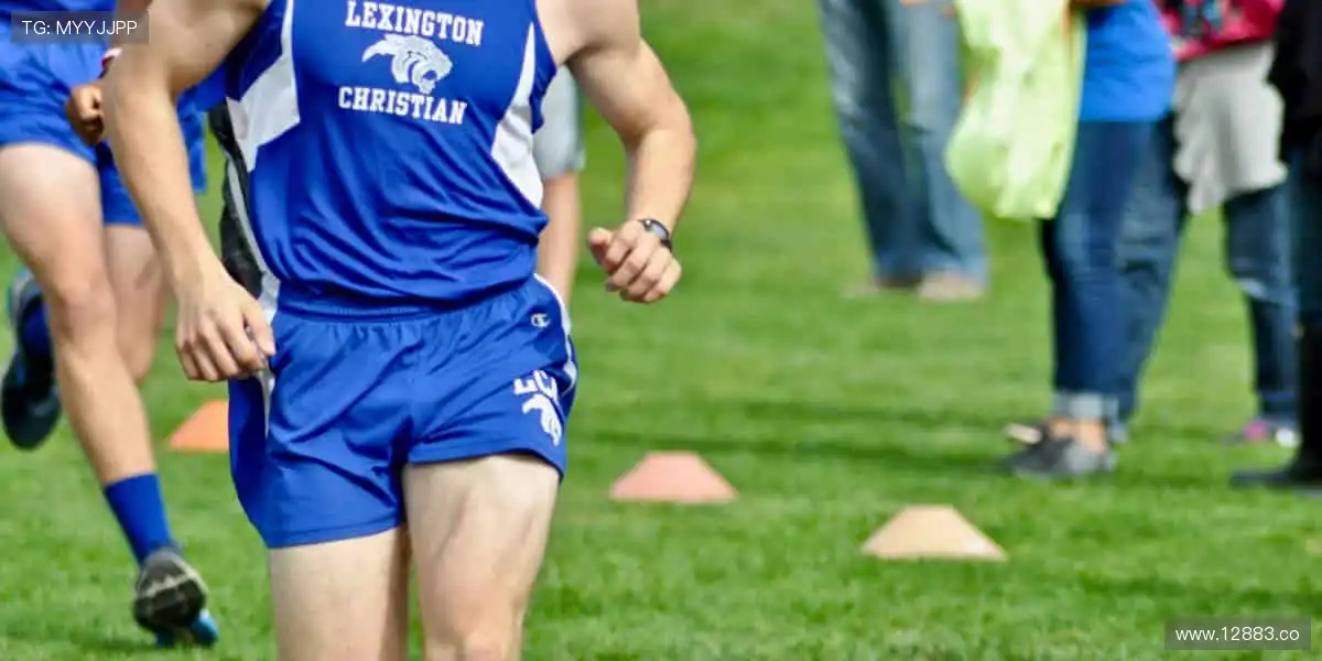 精彩内容,尽在掌握!🎬🔥